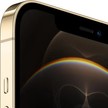 iPhone 12 Pro Max 256GB zlatá